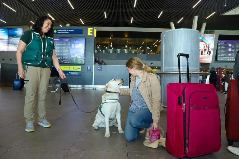 Atención si viajas con mascotas: SAG advierte nueva exigencia para ingresar perros y gatos a Chile