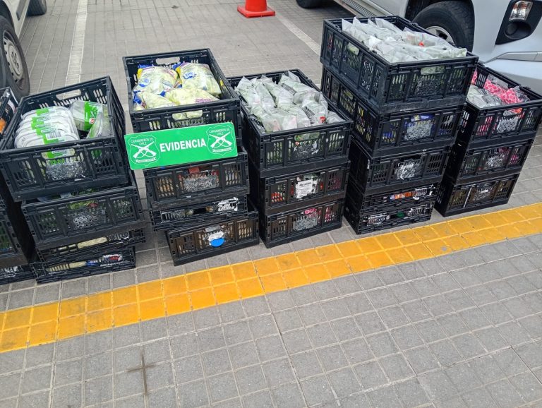 Asalto a camionero termina con ocho detenidos y recuperación de carga en San Bernardo