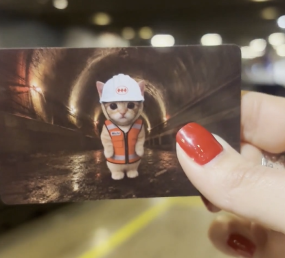 Metro de Santiago lanza nueva edición de la MichiBip: Revisa dónde conseguirla