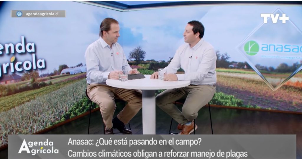 Fenómeno del Niño: Advierten cambios en las plagas agrícolas y llaman a ajustar estrategias de control