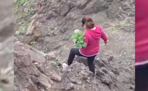 Denuncian extracción de plantas endémicas desde la Reserva Nacional La Chimba tras floración en Antofagasta