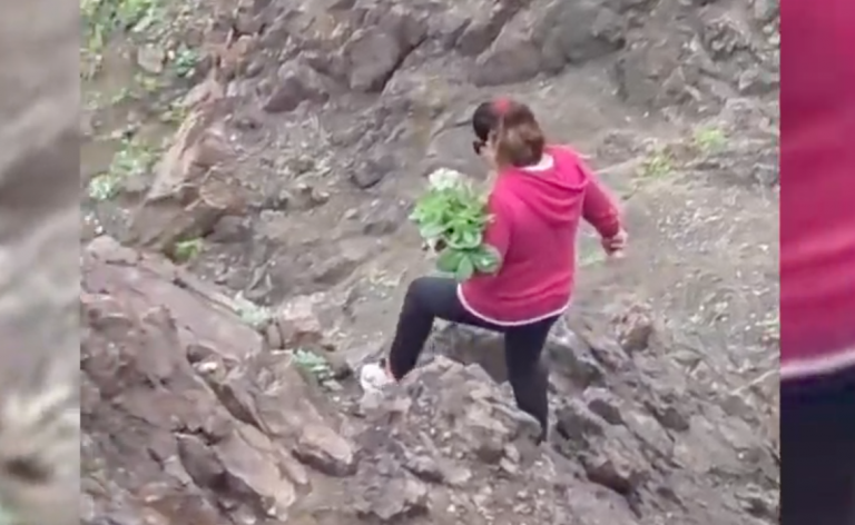 Denuncian extracción de plantas endémicas desde la Reserva Nacional La Chimba tras floración en Antofagasta