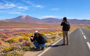 Desierto Florido 2026: cuánto cuestan los pasajes en bus y cómo llegar desde Santiago