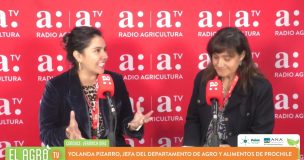 Yolanda Pizarro aborda el apoyo de ProChile a pequeñas empresas y oportunidades de la industria alimentaria