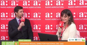SAG advierte sobre riesgos de los brotes de la mosca de la fruta y la importancia de los controles sanitarios