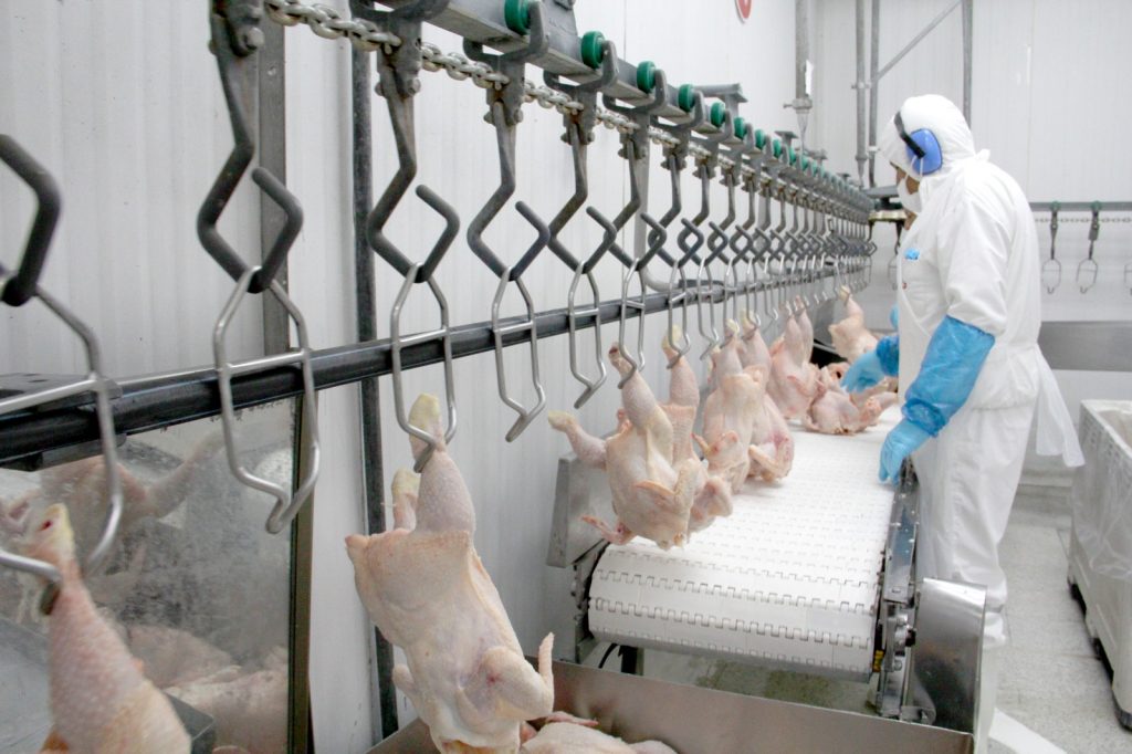 SAG suspende ingreso de aves y productos avícolas provenientes de Santa Catarina, Brasil