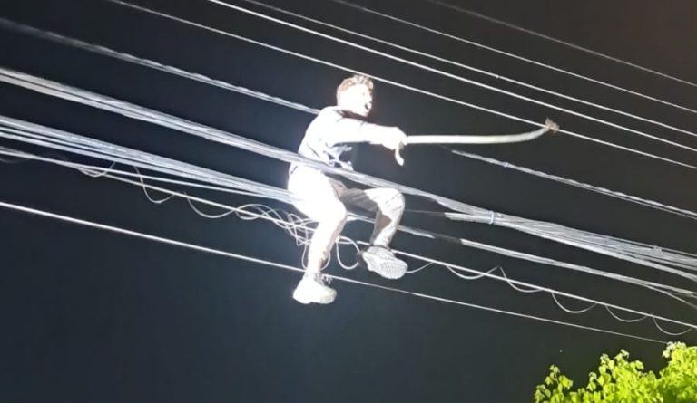 Carabineros detiene a hombre acusado de robar cables del alumbrado público en El Bosque