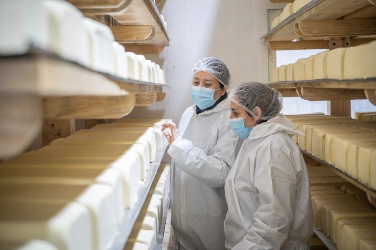 Prohíben temporalmente funcionamiento de fábrica de Lácteos Matthei tras detectar Listeria en quesos