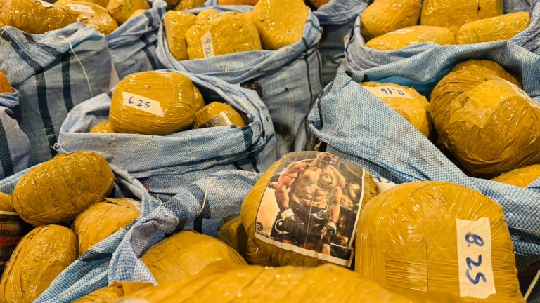 Golpe al narcotráfico en Ruta 5 Norte: incautan más de 470 kilos de droga y detienen a tres personas
