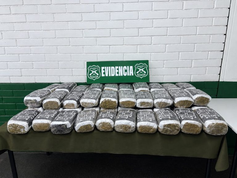 Carabineros incauta más de 51 kilos de marihuana durante fiscalización vehicular
