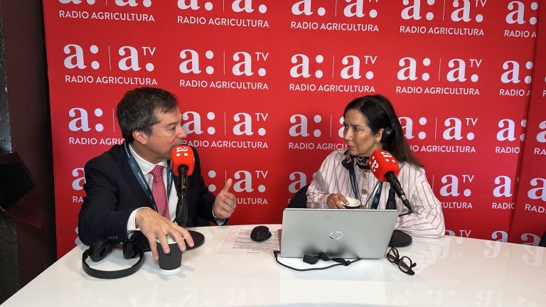 Lucas Palacios advierte por desempleo y pide acelerar la inversión: “Hay que cambiar el estado de ánimo”