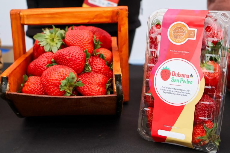 Lo Valledor lanza oficialmente la temporada de frutillas junto a productores de San Pedro