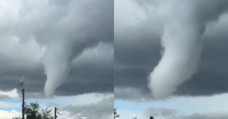 VIDEO | Confirman tornado en Maule: reportan daños y caída de árboles en distintos sectores